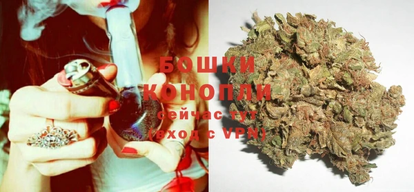 тгк Богородицк